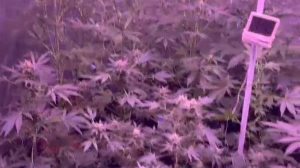 balikesirde uyusturucu imalathanesine baskin 1 gozalti J5gFl8KD