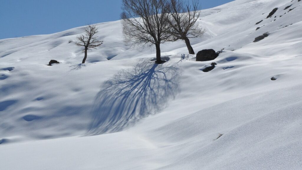 batmanda kar yagisi yuksek kesimlerde etkili oldu pfLGC256