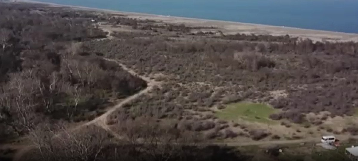 Bursa'da barınaktan kaçan bozayı yakalandı 1 bursada barinaktan kacan bozayi yakalandi 0 7nR8wH8H