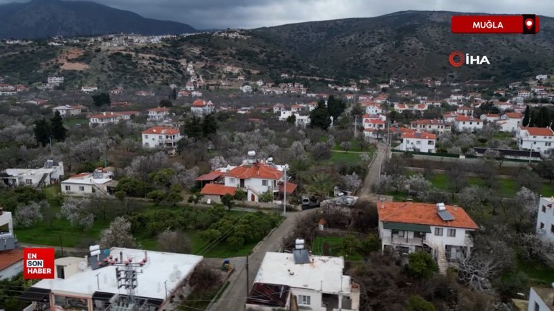 datcada badem agaclari cicek acti leq21A4q