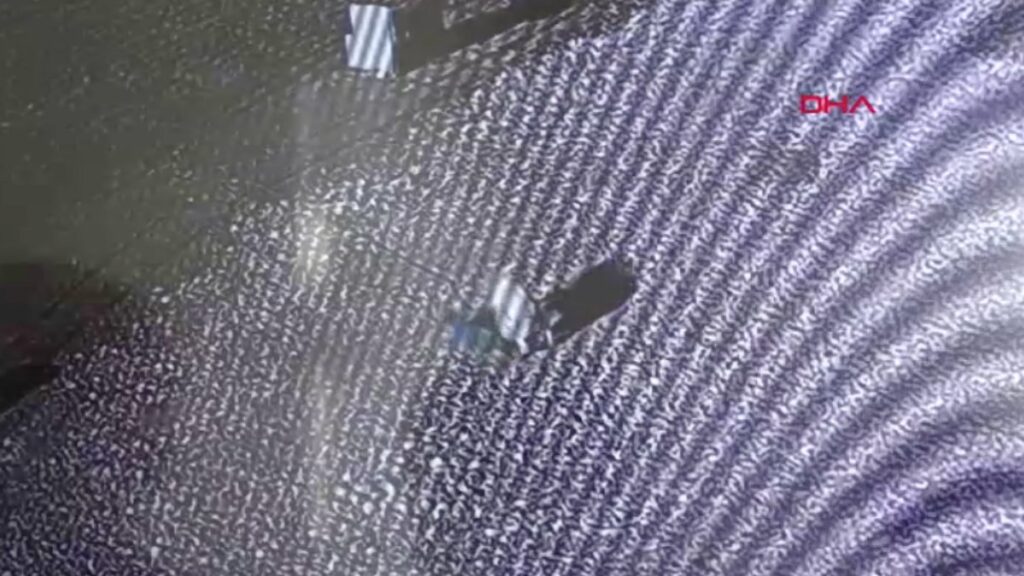 diyarbakirda sokak kopeklerini beslemek isterken saldiriya ugradi goruntuler ortaya cikti Im2gSfn8