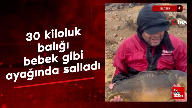 elazigda tuttugu 30 kiloluk baligi bebek gibi ayaginda sallayip ninni soyledi dqzFMKT9