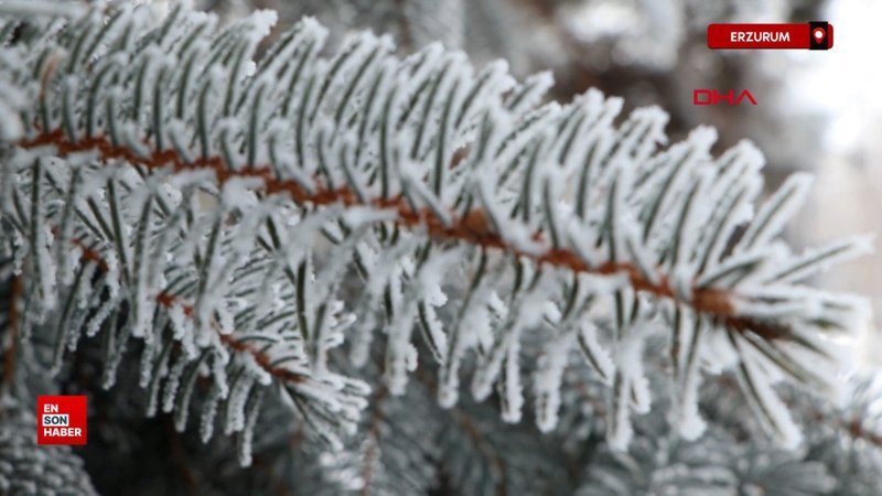 erzurumda soguk hava etkili oluyor