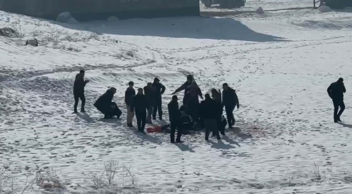 Hakkari'de Eslem'in ölümü sonrası bölgedeki sokak köpekleri toplanıyor 1 hakkaride eslemin olumu sonrasi bolgedeki sokak kopekleri toplaniyor 0 gzKg3L8G