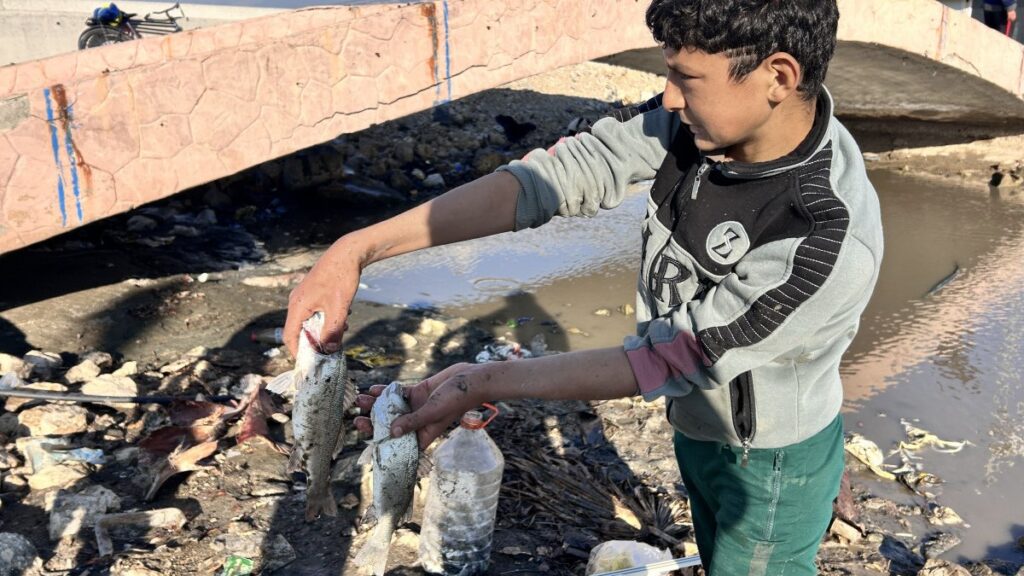 hatayda evden getirdikleri perdeyle kanalda balik yakaladilar WvKO4SKC