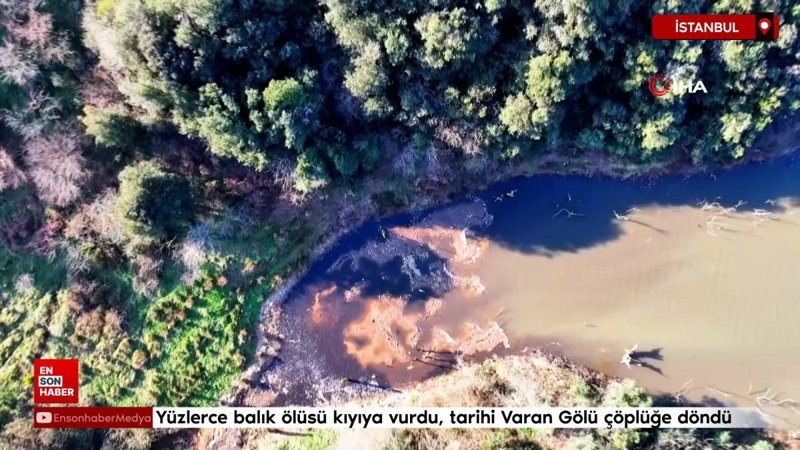istanbulda balik oluleri kiyiya vurdu tarihi varan golu copluge dondu u5P75pB3