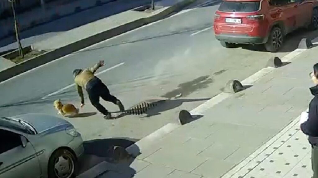 istanbulda kacan kopegini yakalamak isterken olumden dondu eBAxFAQT