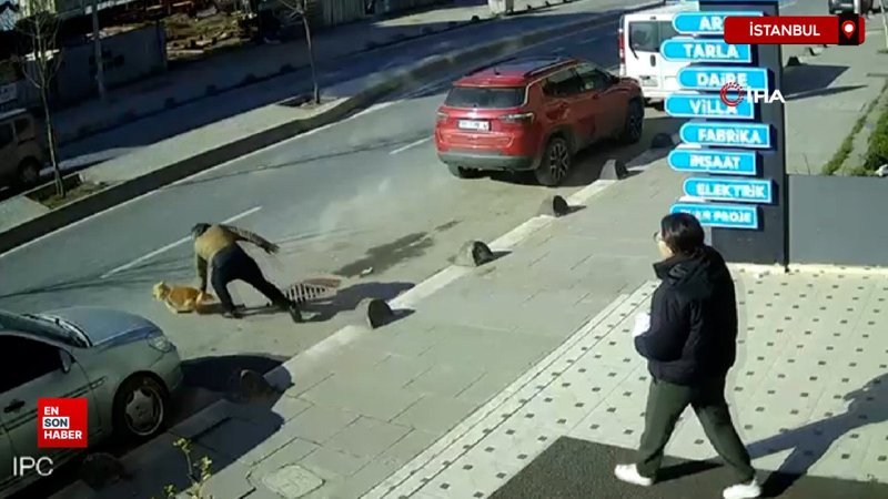 istanbulda kopegini kurtarmak icin caddeye atladi bacagina 20 dikis atildi em5Y9LuC