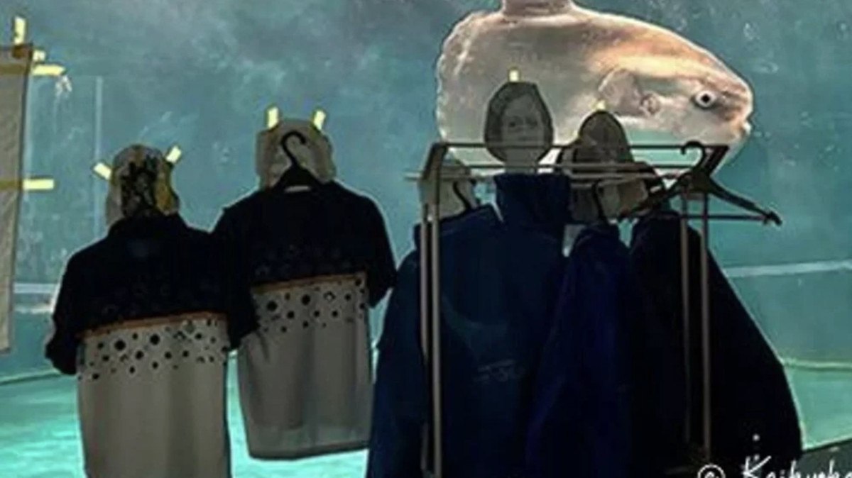 japonyada akvaryumdaki baligin yalnizligina kartondan insanlarla care bulundu 1 RPeVpKBw