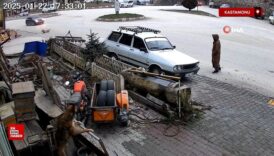 kastamonuda kopege carpip yoluna devam etti Cx1ClEMA