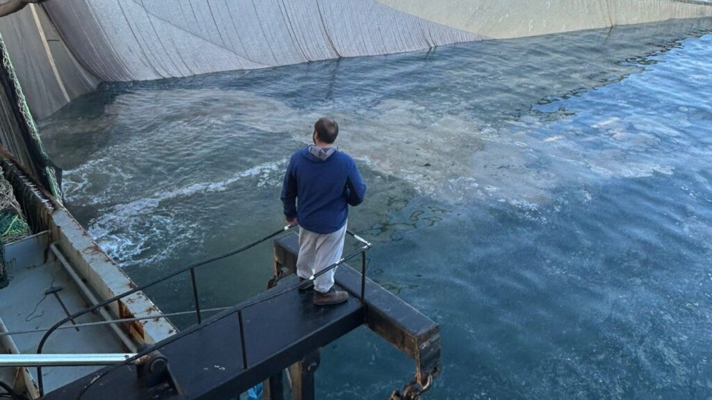 marmara denizinde aglara balik yerine musilaj takildi 9bKvBgdh