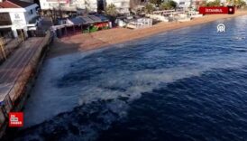 Marmara Denizi'nde müsilaj yeniden görüldü 5 marmara denizinde musilaj yeniden goruldu TXhMWeh5