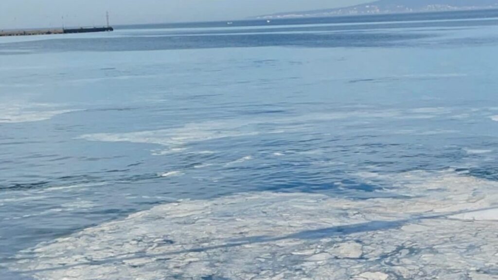 marmarada musilaj geri dondu mudanyada balikcilarin aglari zarar goruyor 4rh7amN2