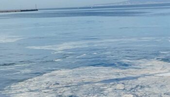 marmarada musilaj geri dondu mudanyada balikcilarin aglari zarar goruyor 4rh7amN2