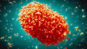 maymun cicegi asisi icin calismalar hizlandi turk ve ingiliz bilim insanlari birlikte calisiyor umb1XF9k