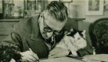 ne kedisiz ne de kitapsiz sozu ekseninde edebiyatta kediler wzrinHXb