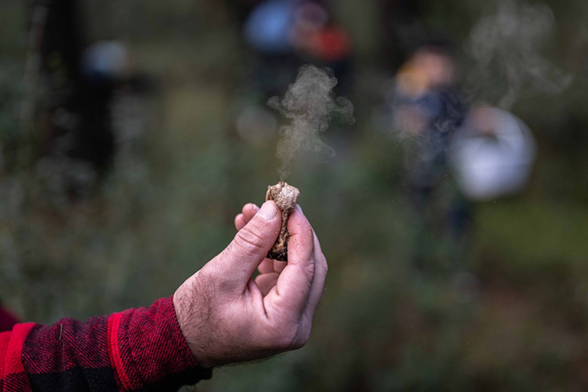 ormanlarda mantar kesfi doga severler icin yeni bir macera 6 kf2MDrmB