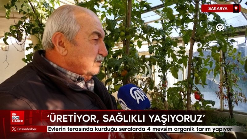 sakaryada evlerin terasinda kurdugu seralarda 4 mevsim organik tarim yapiyor lnKdiibH