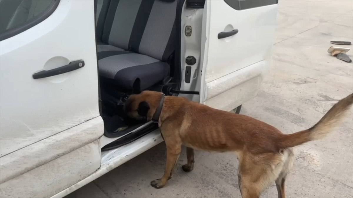 Şırnak’ta 20 kilo uyuşturucu ele geçirildi 1 sirnakta 20 kilo uyusturucu ele gecirildi 0 3yVScaph