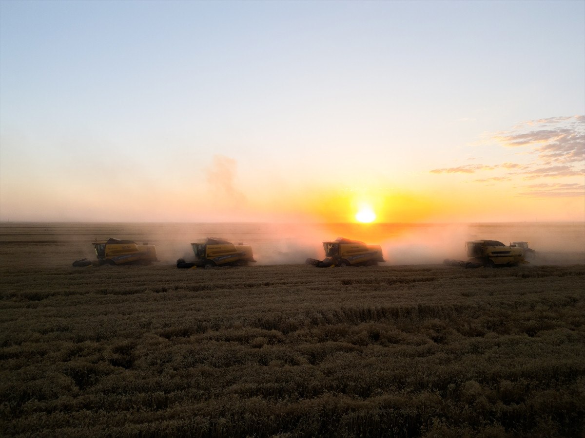 tarim uretici fiyatlari yillik yuzde 3292 artti 0 mKed5QFY