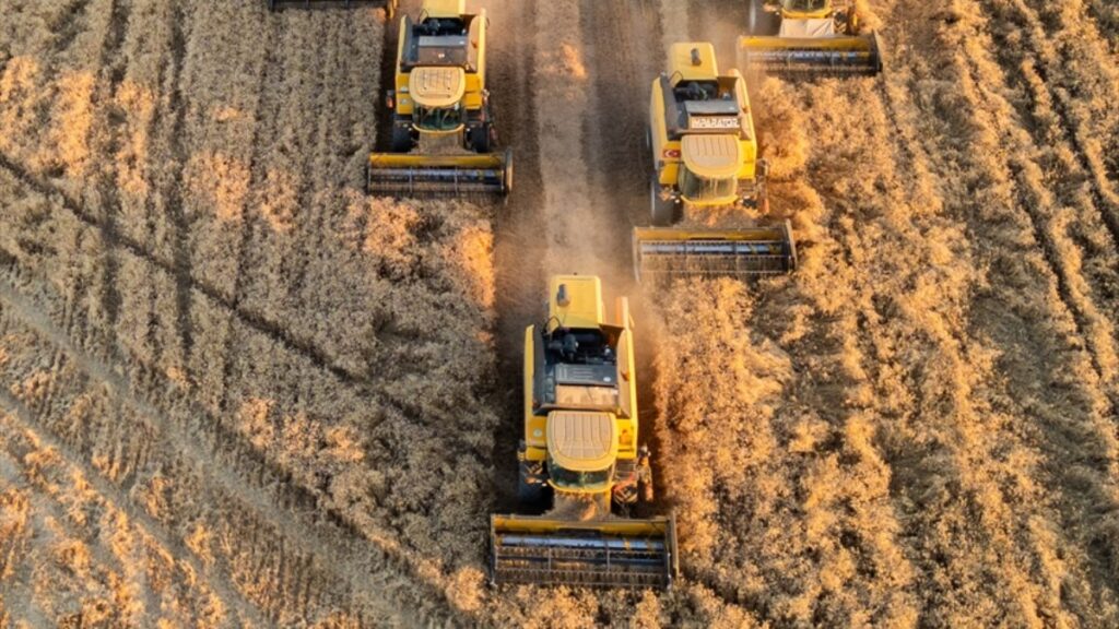 tarim uretici fiyatlari yillik yuzde 3292 artti UsPNuzSP