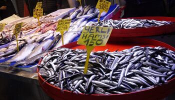 trabzonda balik tezgahlarinda cesit bollugu stuCcOcU