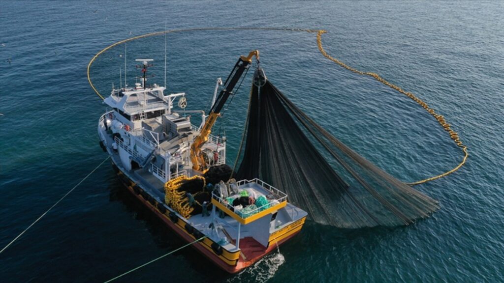 trabzonun su urunleri ihracatindan kazanci yuzde 21 artti w62Fb95R