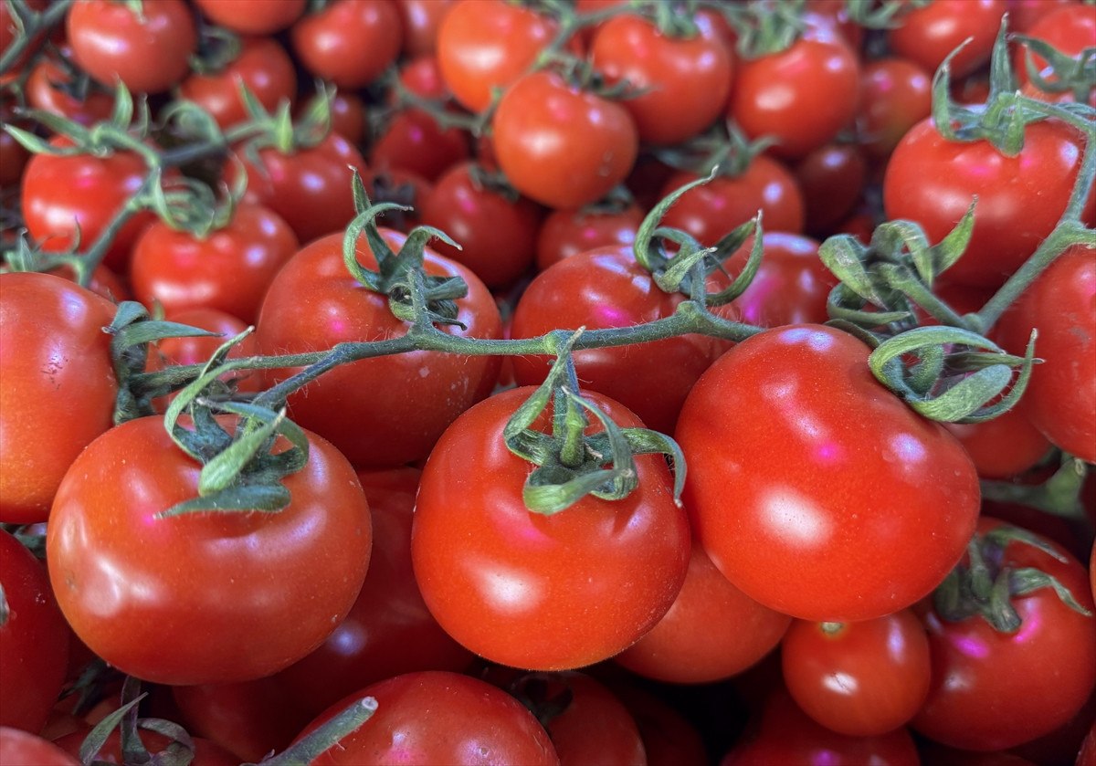 turkiyenin 2024un uretim karnesi cikti sebze ihracatinin lideri antalya 0 BK9dgCFc