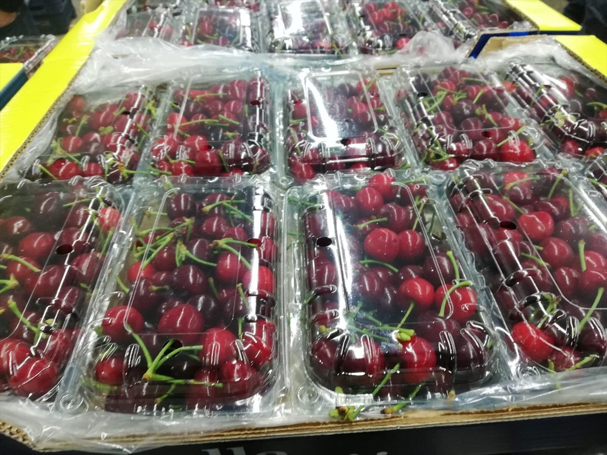 turkiyenin 2024un uretim karnesi cikti sebze ihracatinin lideri antalya 2