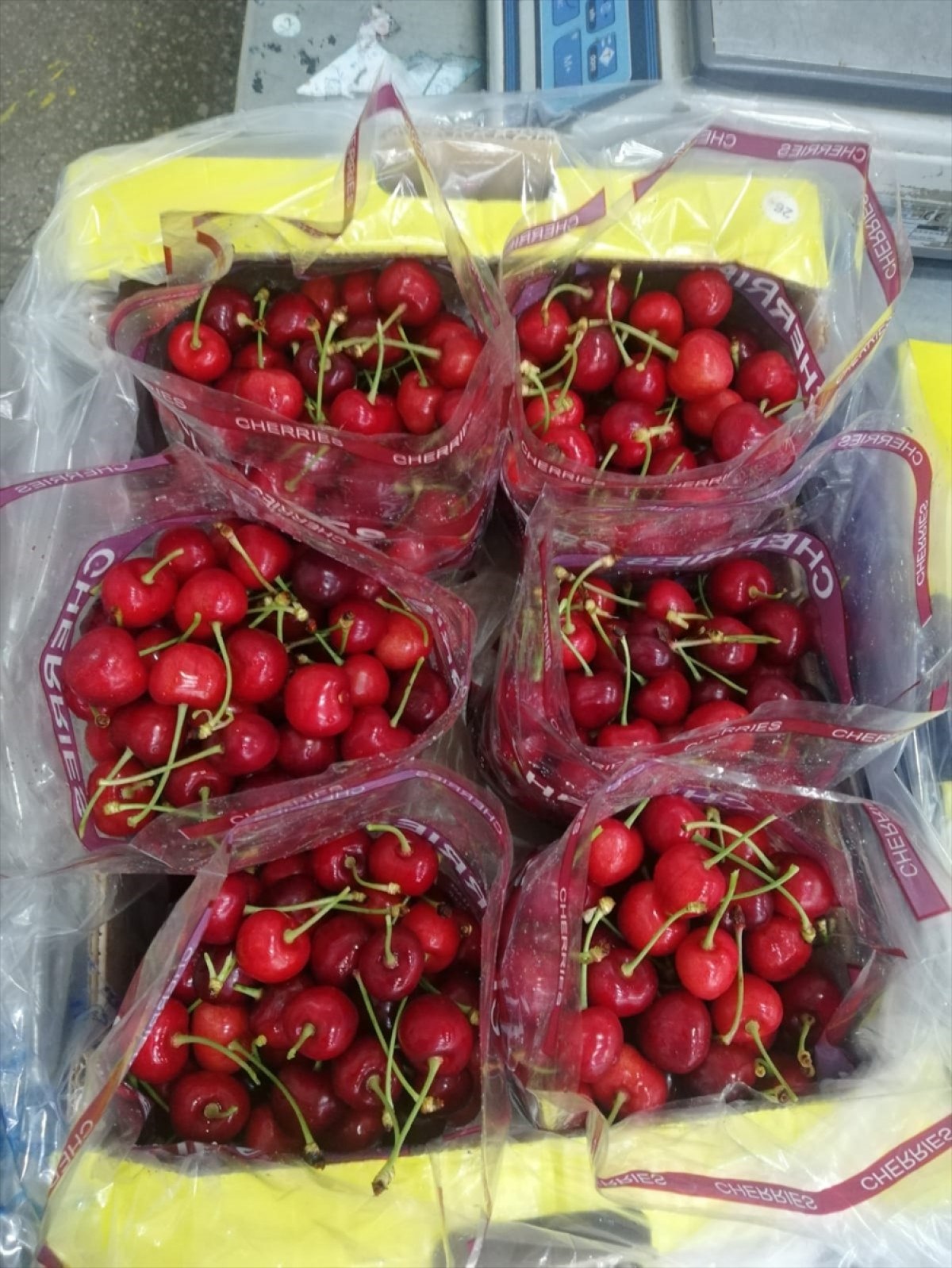 turkiyenin 2024un uretim karnesi cikti sebze ihracatinin lideri antalya 3 kVVNHHHu