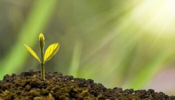 turkiyenin ilk iklim kanunu teklif asamasina geldi HUgshd4v