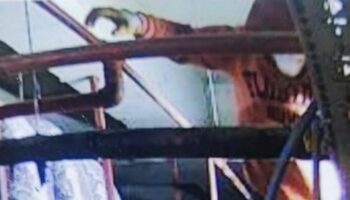 adanada 3 gundur havalandirmada saklanan hirsizlik suphelisi yakalandi NU54Xp1k