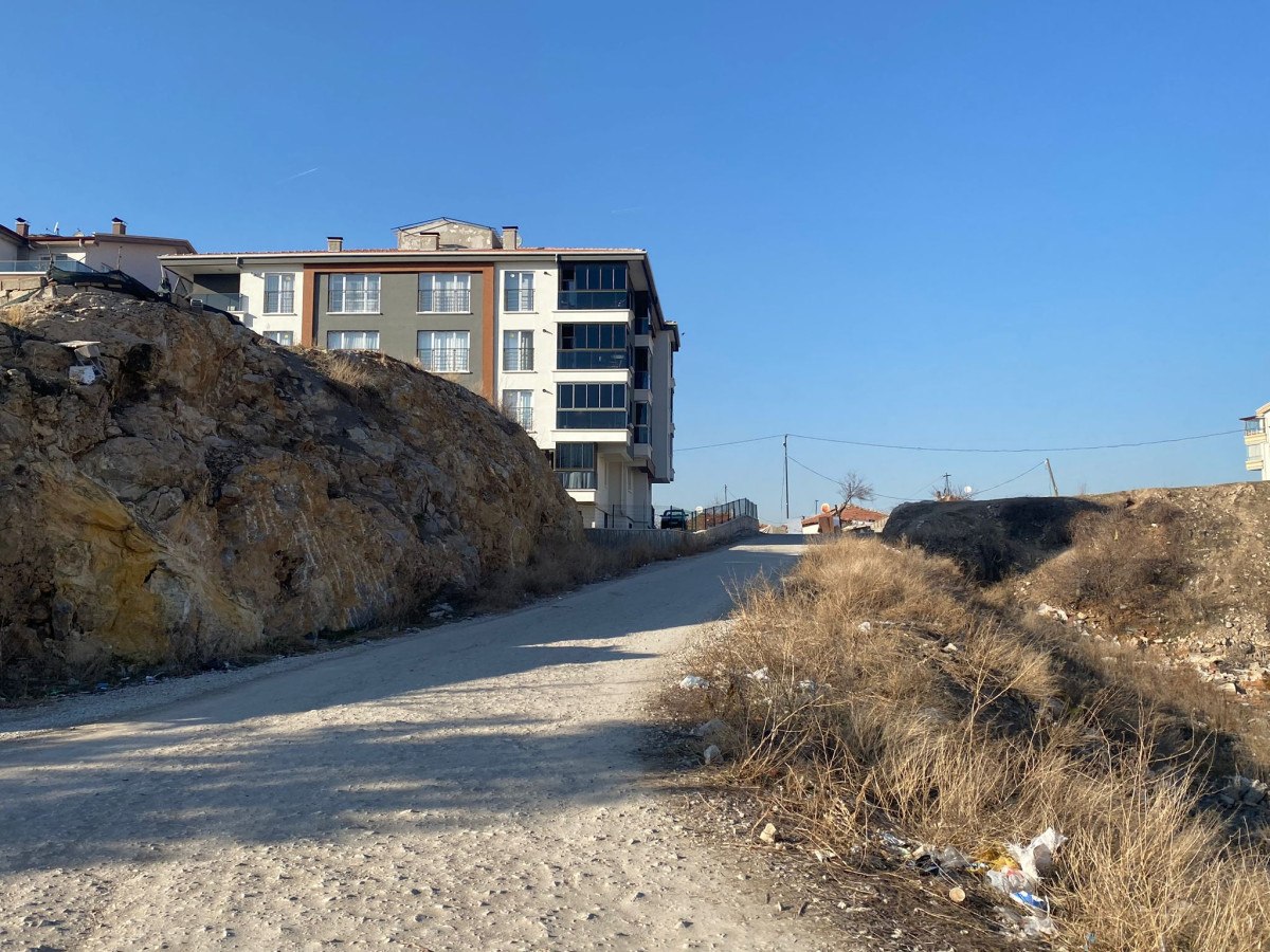 Ankara'da başıboş köpek dehşeti: Hamile kadına saldırdılar 4 ankarada basibos kopek dehseti hamile kadina saldirdilar 3