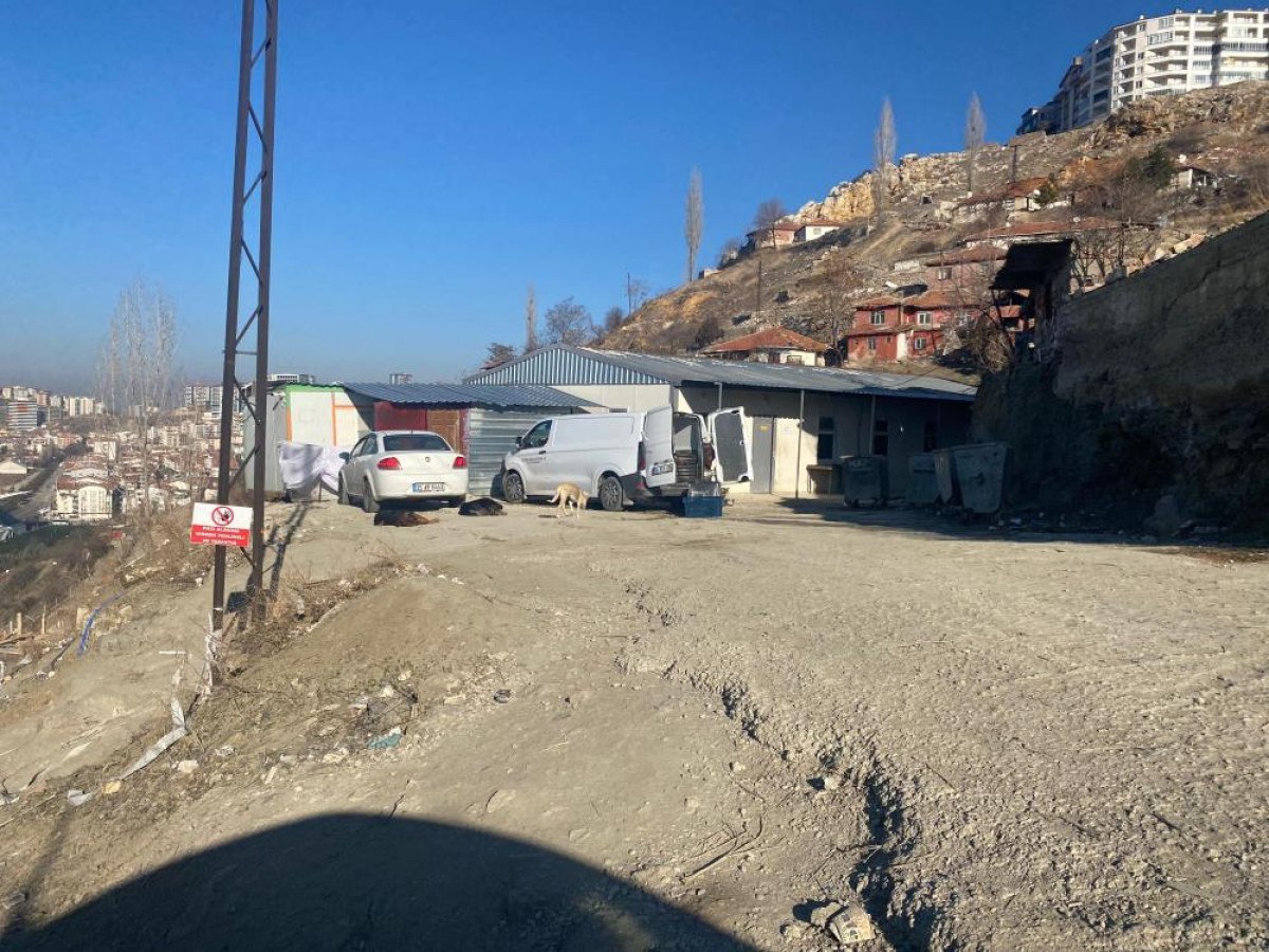 ankarada basibos kopek surusunun saldirdigi kadin canini zor kurtardi 4 StuqJuAW