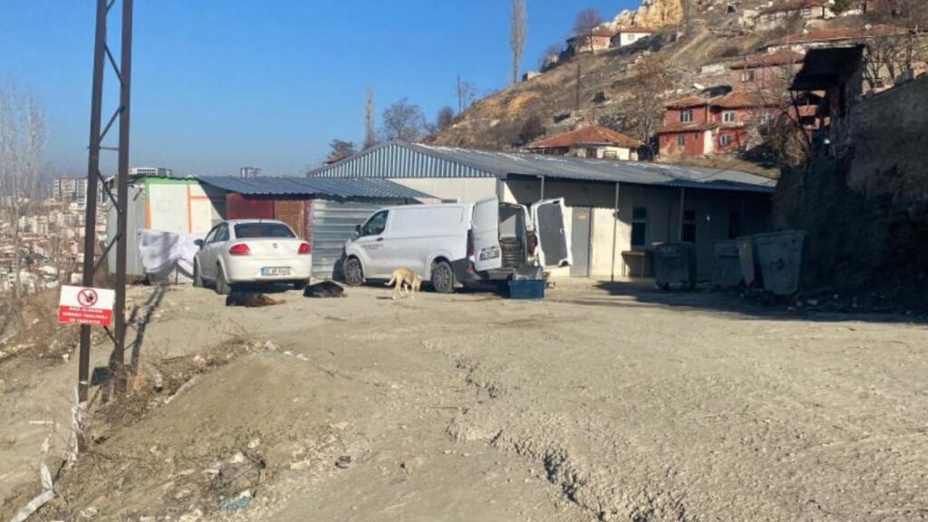 ankarada basibos kopek surusunun saldirdigi kadin canini zor kurtardi wbmXzRTY