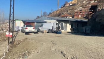 ankarada basibos kopek surusunun saldirdigi kadin canini zor kurtardi wbmXzRTY