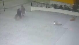 ankarada basibos kopek yasli kadina saldirdi 7feZS5Ws