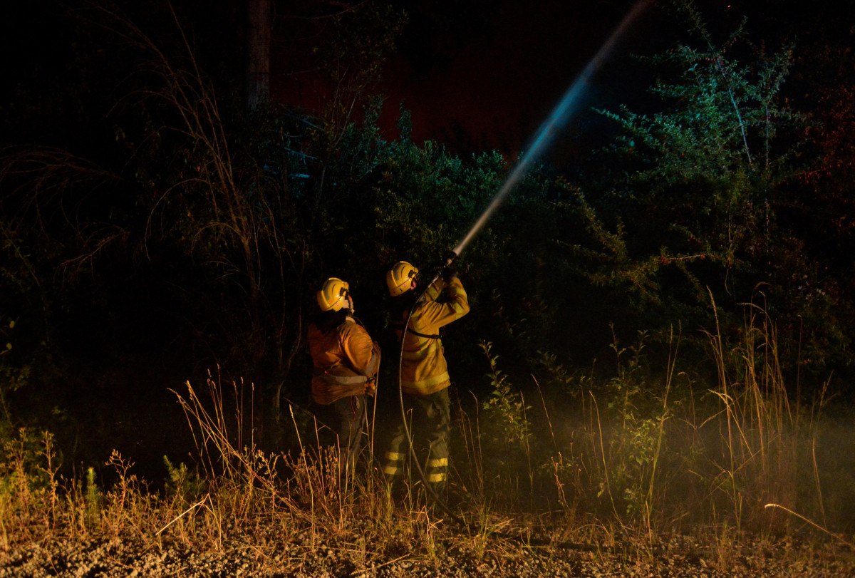 Arjantin'de orman yangınlarından 20 bin hektarlık alan etkilendi 1 arjantinde orman yanginlarindan 20 bin hektarlik alan etkilendi 0 IuyELX2q