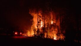 arjantinde orman yanginlarindan 20 bin hektarlik alan etkilendi AuKfyT4m