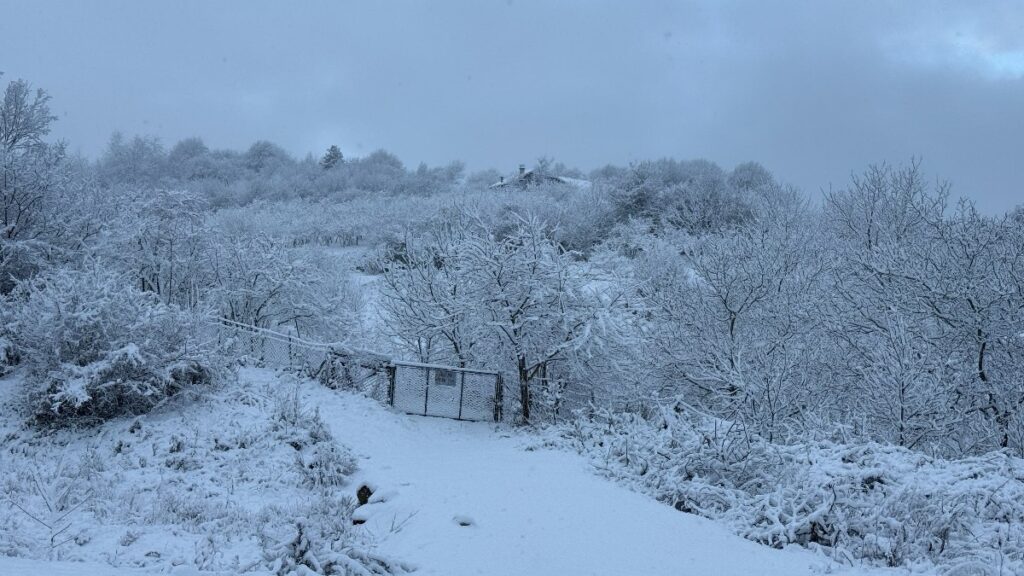 bartinda kar yagisi suruyor B1rF35Xz