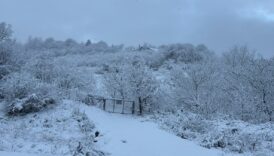 bartinda kar yagisi suruyor B1rF35Xz