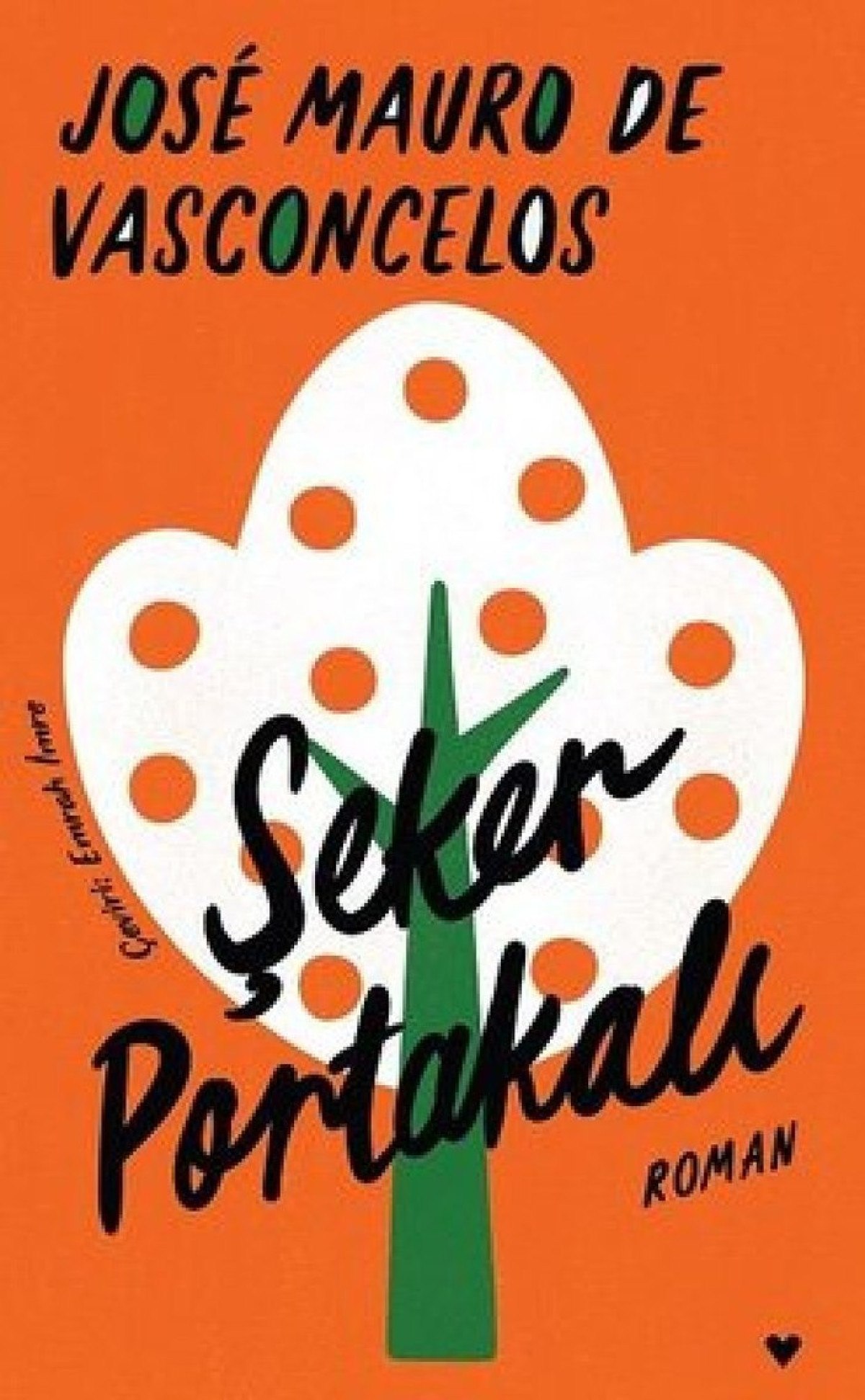 bir yazarin portresi jos mauro de vasconcelos 1 y13AkNLs