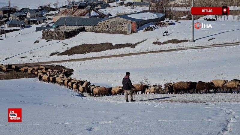 bitliste ciftcilerin zorlu kis mesaisi devam ediyor 3APkHU7K