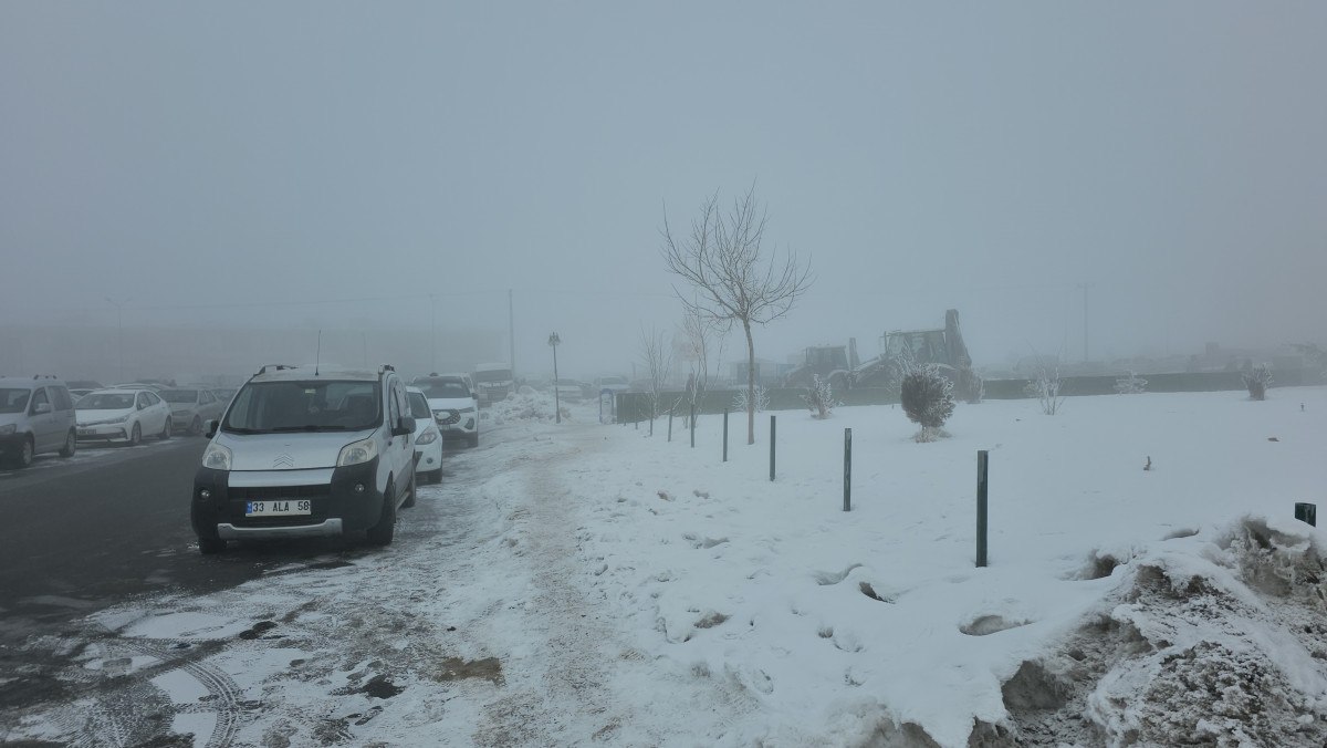 bitliste dondurucu soguk agaclar kiragiyla kaplandi 2 U258vhKf