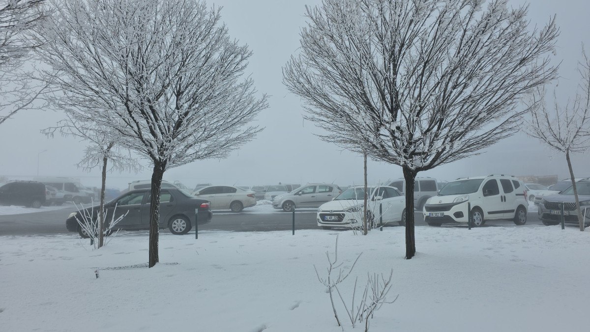 bitliste dondurucu soguk agaclar kiragiyla kaplandi 3 YVzfgKvc