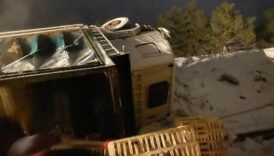 boluda kamyon devrildi yuzlerce tavuk telef oldu pUXlvyB3