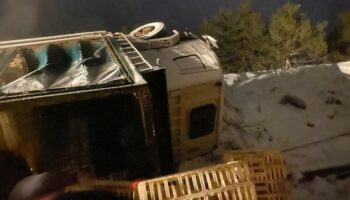 boluda kamyon devrildi yuzlerce tavuk telef oldu pUXlvyB3