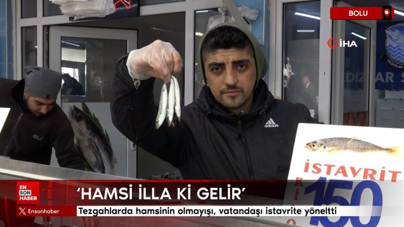 boluda tezgahlarda hamsinin olmayisi vatandasi istavrite yoneltti TSK3VbIu