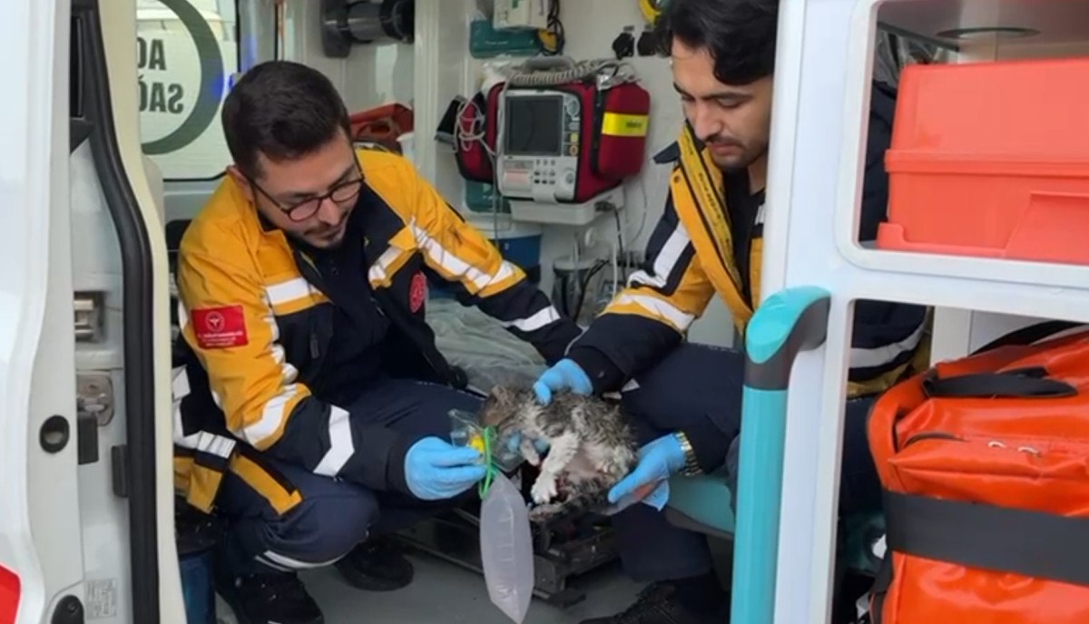 bursada geri donusum fabrikasinda yangin 0 zuEC2MpX