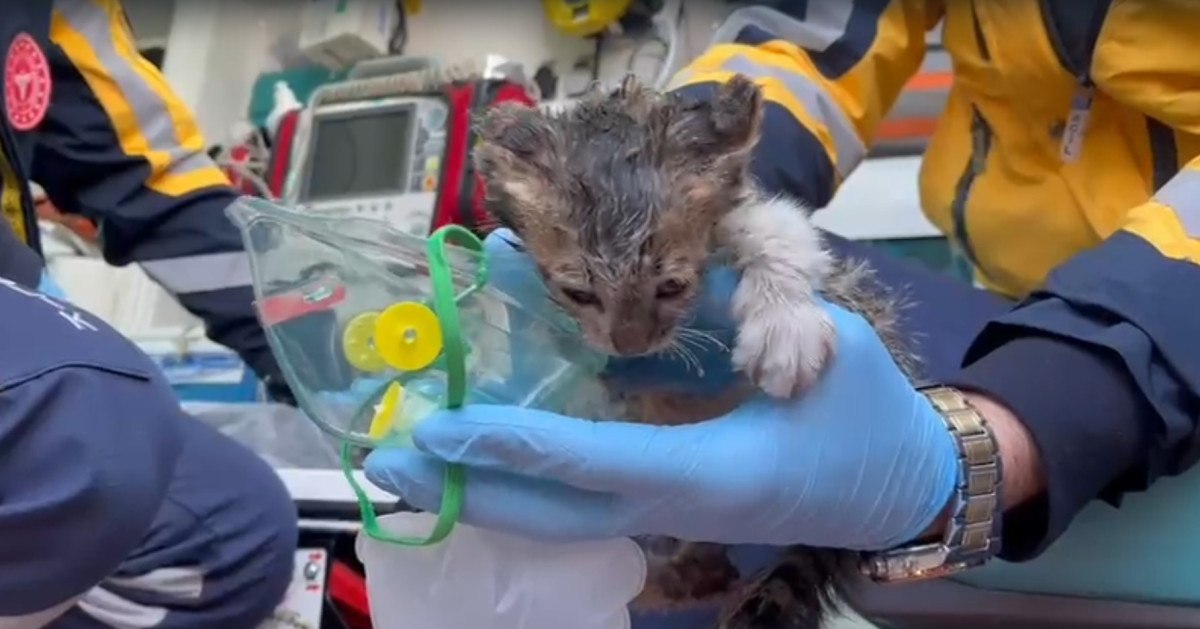 bursada geri donusum fabrikasinda yangin 2 9RvK3AAI